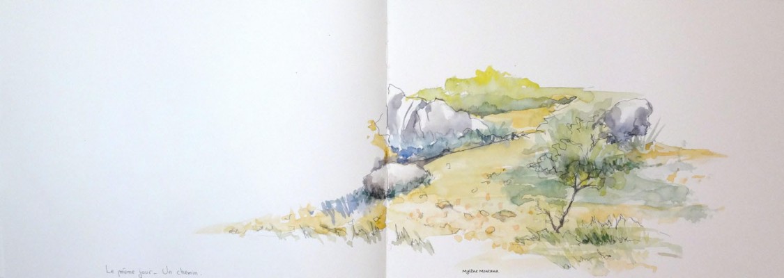Un chemin - Sainte Colombe de la Commanderie