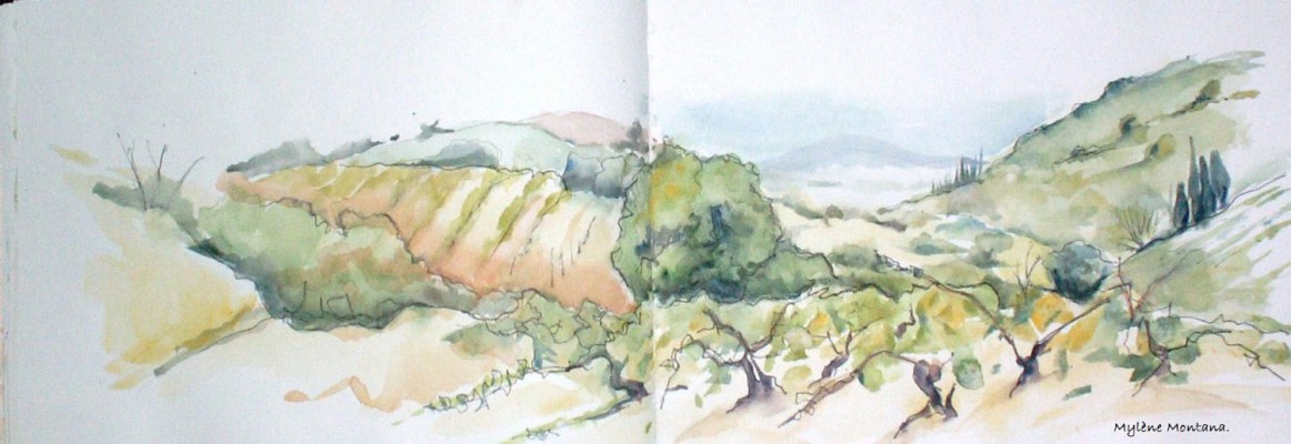 Força Real (dans la brume), sa vallée, ses vignes