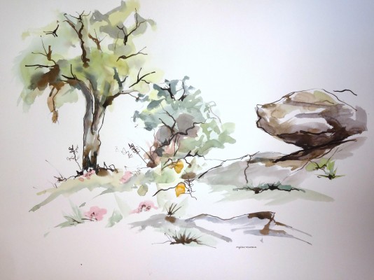 Chêne vert, genévrier et cailloux.<br>Aquarelle sur papier Montval 60 x 80 cm.