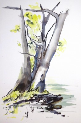 Les trois chênes II.<br>Aquarelle sur papier 40 x 60 cm.