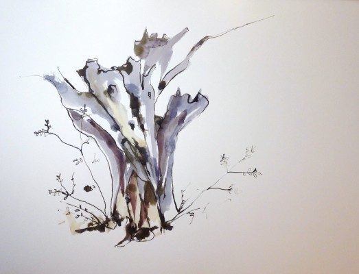 Olivier I.<br>Aquarelle sur papier Montval 60 x 80 cm.