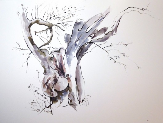 Olivier II.<br>Aquarelle sur papier Montval 60 x 80 cm.