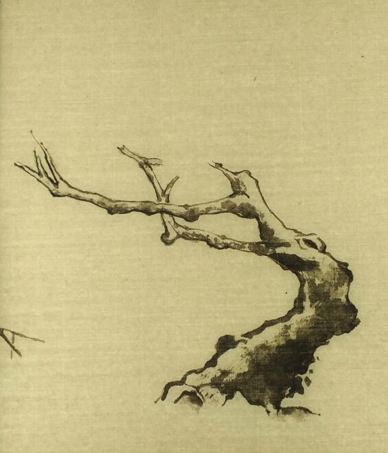 画粗大老干
Etude d'un vieux prunus<br>
