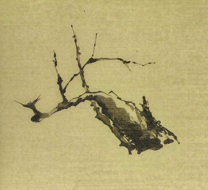 画粗大老干
Etude d'un vieux prunus<br>