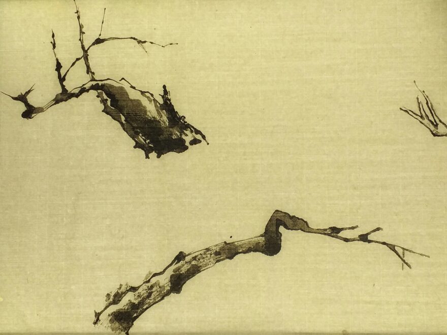 画粗大老干
Etude d'un vieux prunus<br>