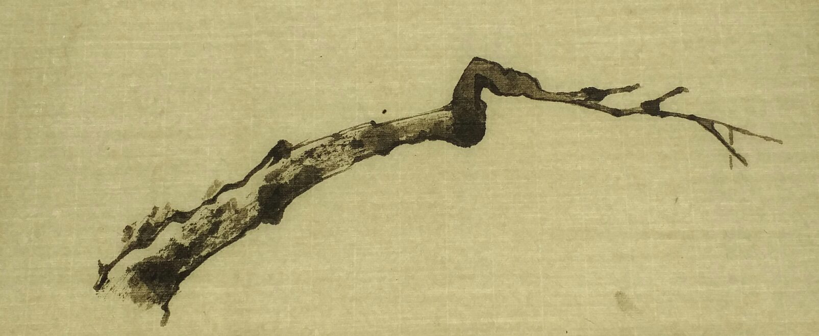 画粗大老干
Etude d'un vieux prunus<br>