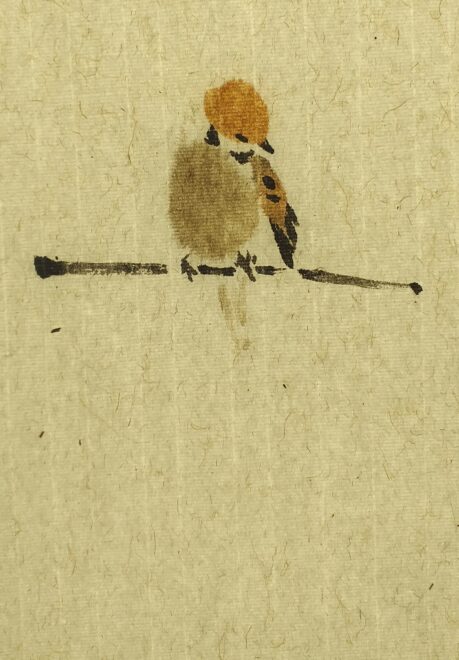 麻雀 
Moineau<br>